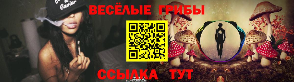 Псилоцибиновые грибы мицелий Видное